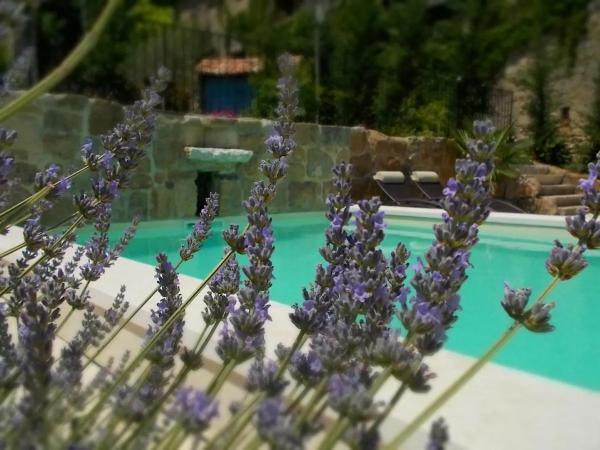 Le Mas Des Monedes Bed & Breakfast Saint-Paul-de-Vence Saint-Paul-le-Jeune